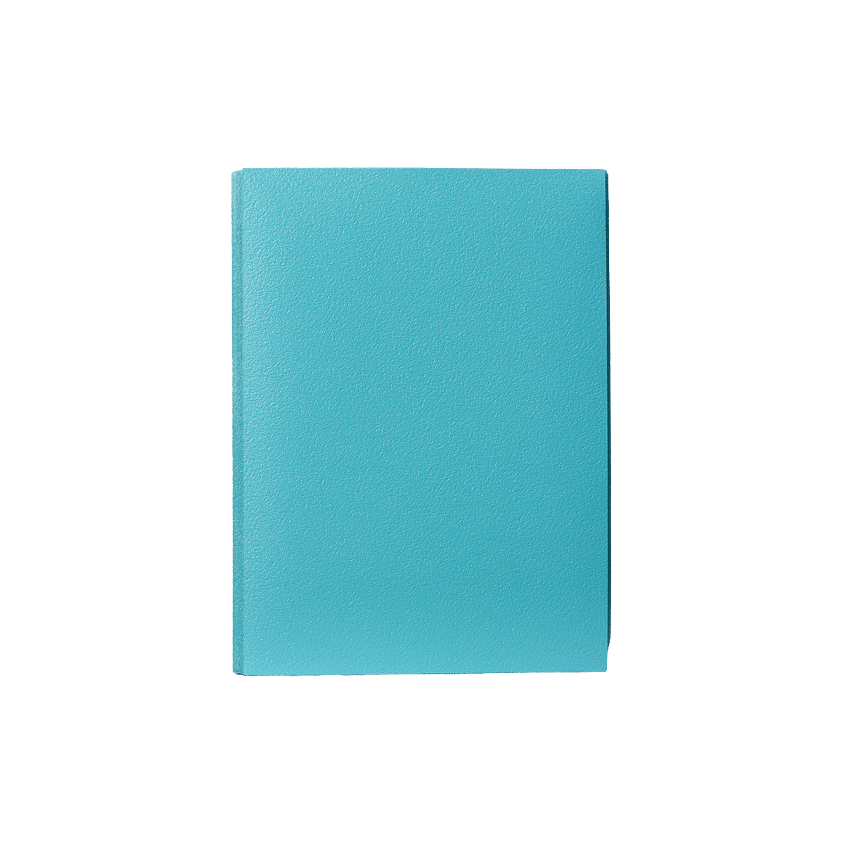 GEM Shield Dual Matte - Light Blue - Imagem 4