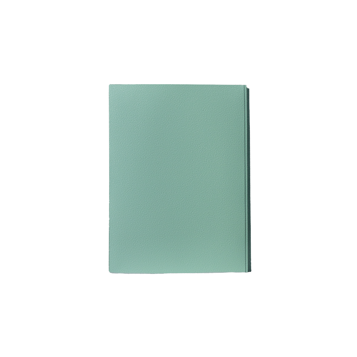 GEM Shield Dual Matte - Mint - Imagem 3